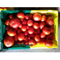 tomates  
