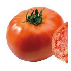 Tomate BALI