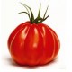 Tomate coeur de bœuf type aumonière variété CORAZON
