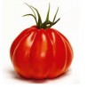 Tomate coeur de bœuf type aumonière variété CORAZON