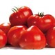 Tomate type cœur de boeuf variété GOURMANDIA