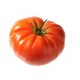Tomate cotelée variété MARMANDE