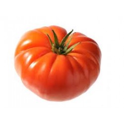 Tomate cotelée variété MARMANDE