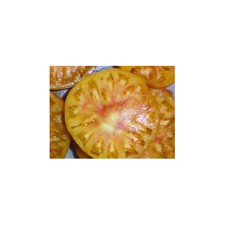 Tomate cotelée jaune variété ANANAS