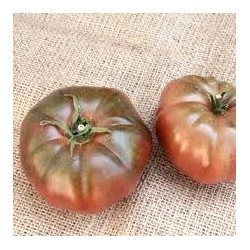 Tomate variété NOIR DE CRIMEE
