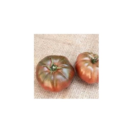 Tomate variété NOIR DE CRIMEE