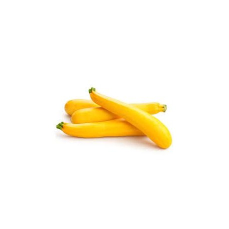 COURGETTE jaune variété ZEBRING