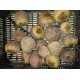 500 g Betteraves rouges crues*