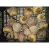 500 g Betteraves rouges crues*