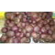 Betteraves rouges cuites*  par 300 g