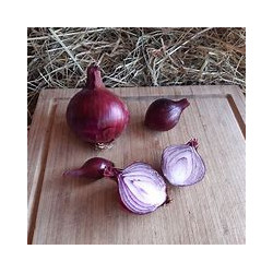 Oignon rouge 500 g