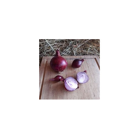 Oignon rouge 500 g