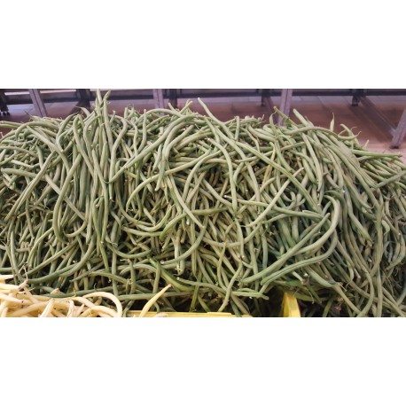 haricot vert 